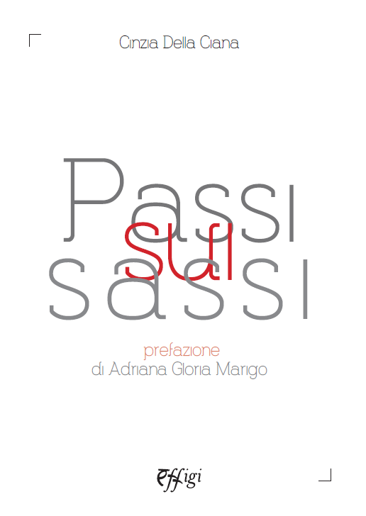 Copertina Passi sui sassi