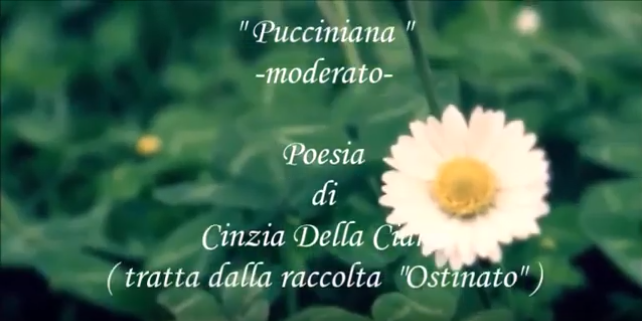 pucciniana moderato youtube